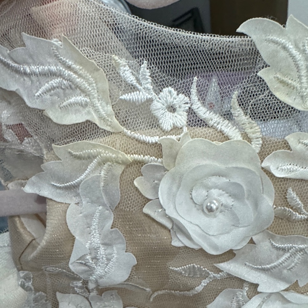 Ivory Floral Appliqué Tulle Dress - Picture 4 of 4